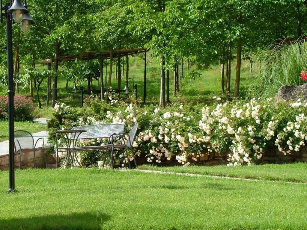 Agriturismo Podere La Casaccia ポッピ エクステリア 写真